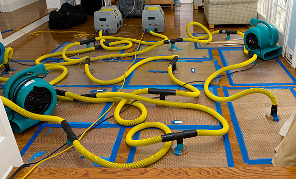 Professional Flood Damage Restoration technician working in Mojave, CA